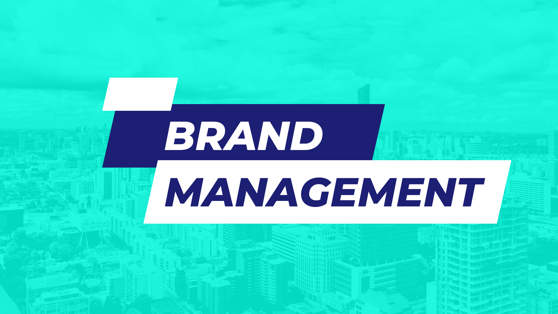 personal brand management is a service offered by BrandThe